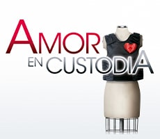Love in custody Amor en Custodia