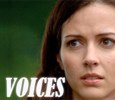 Voices Voices