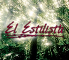 The Stylist El Estilista