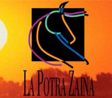 The Filly Zaina La Potra Zaina